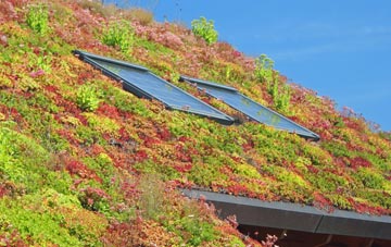 South Ferriby living roof systems